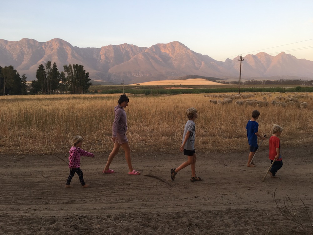 Weite Felder und weiße&nbsp;Strände