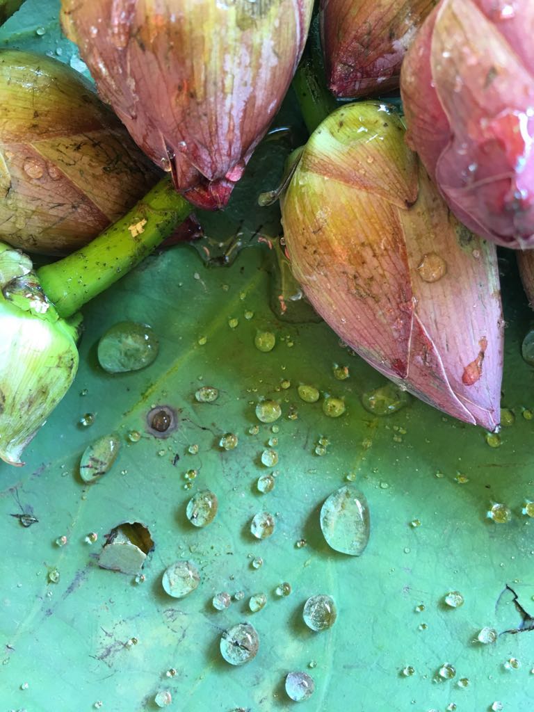 f29aa4af-0eb6-4891-a18a-ba342426eee7