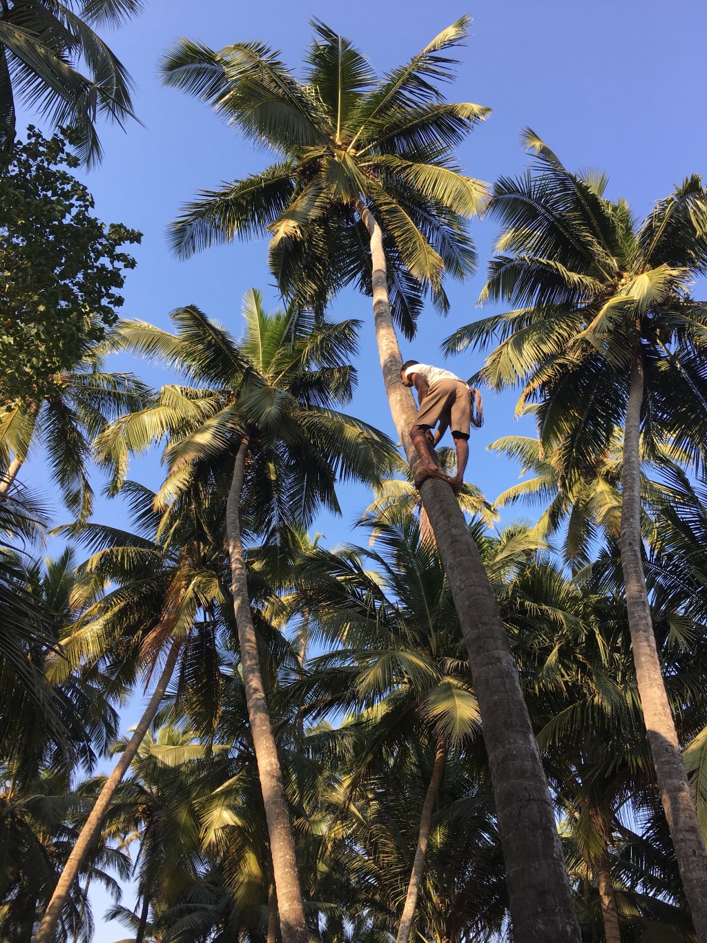 And now you can relax in your&nbsp;hammock