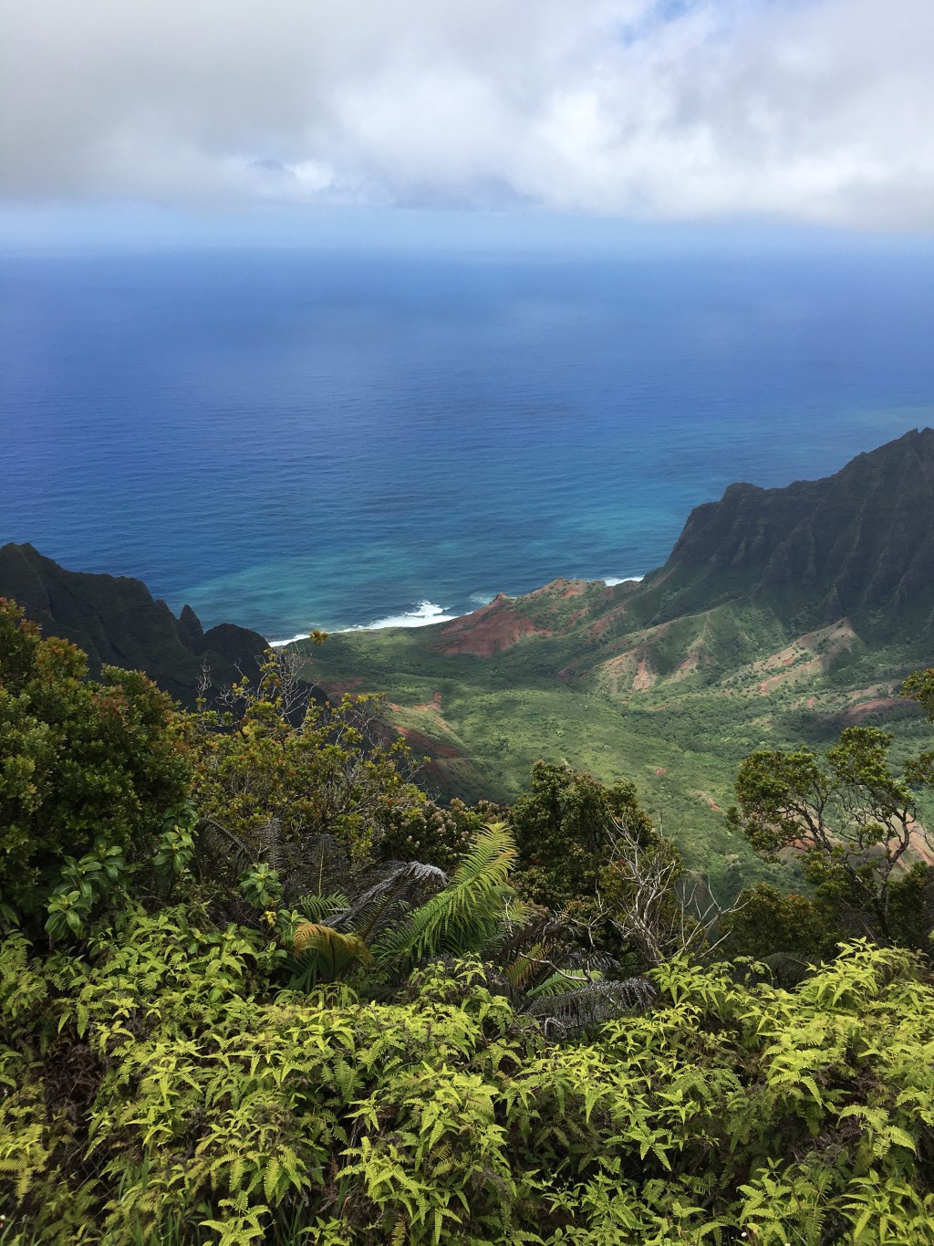 Rückblick: Kauai (Film)