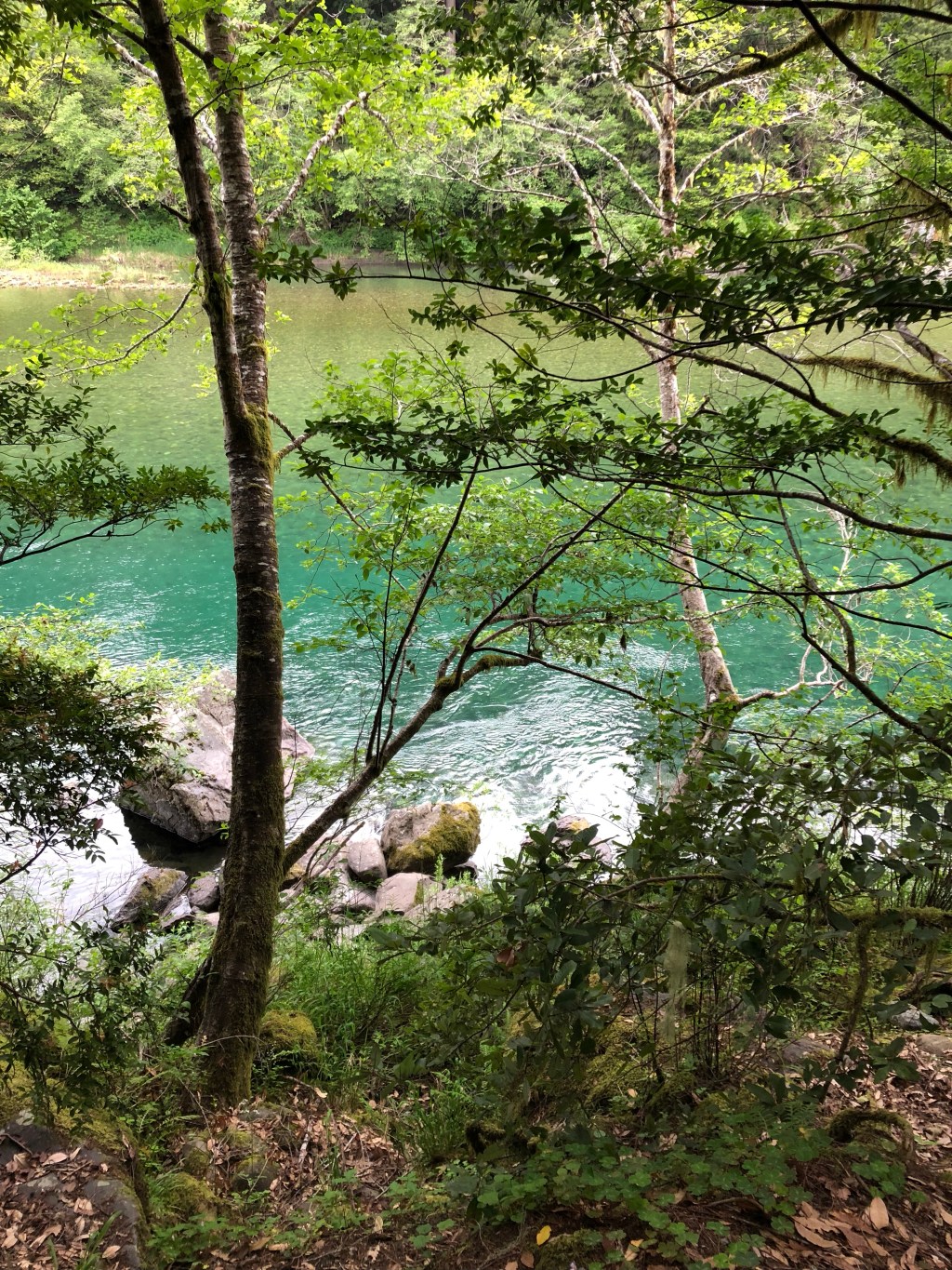 Rückblicke: USA Westküste