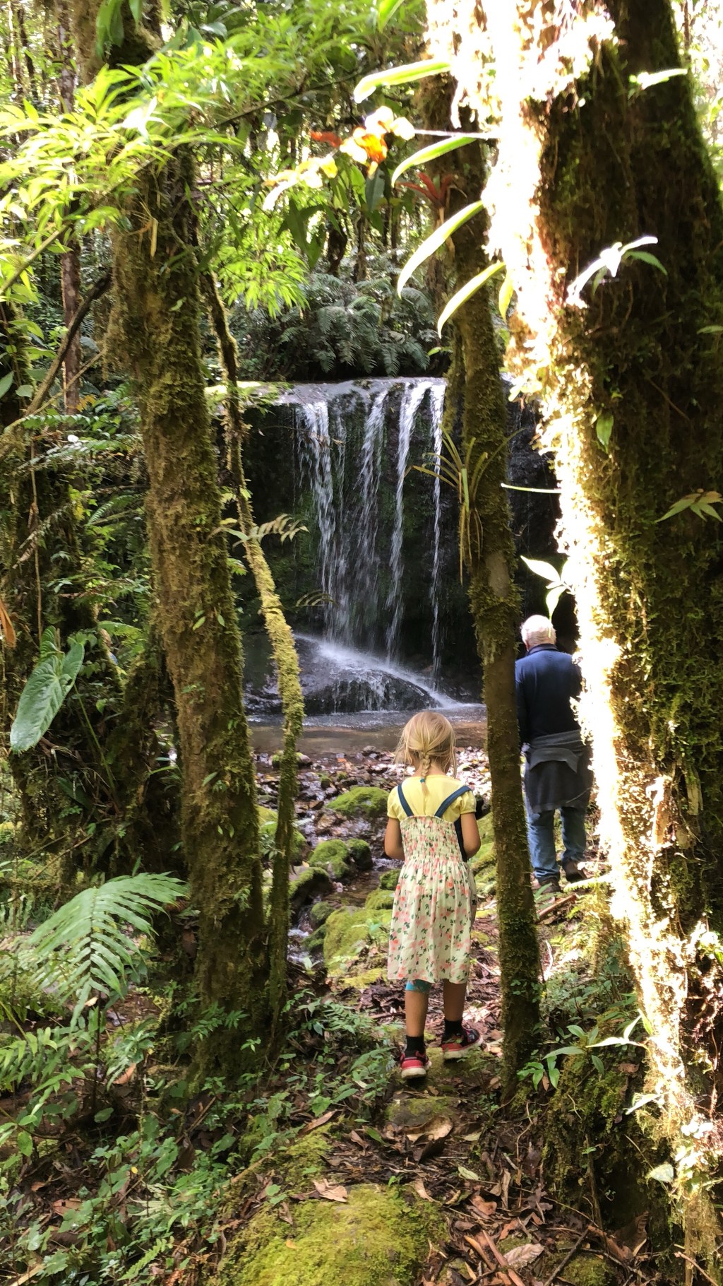 Yanachaga-Chemillen National Park und&nbsp;Aufbruch