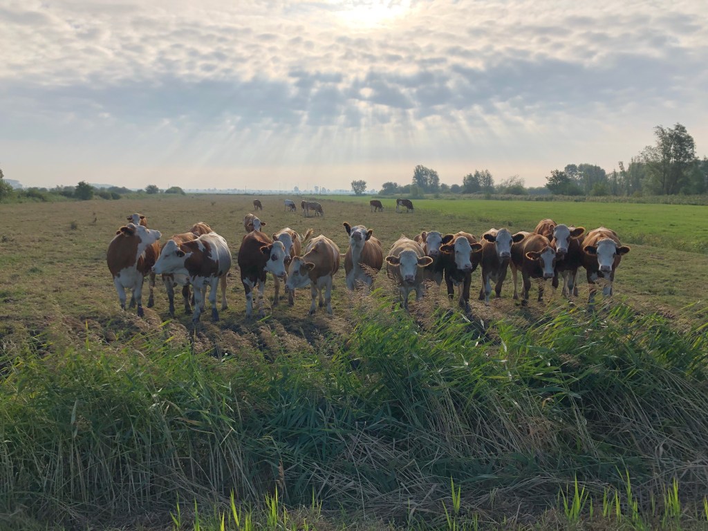Wieder im Alltag&nbsp;angekommen