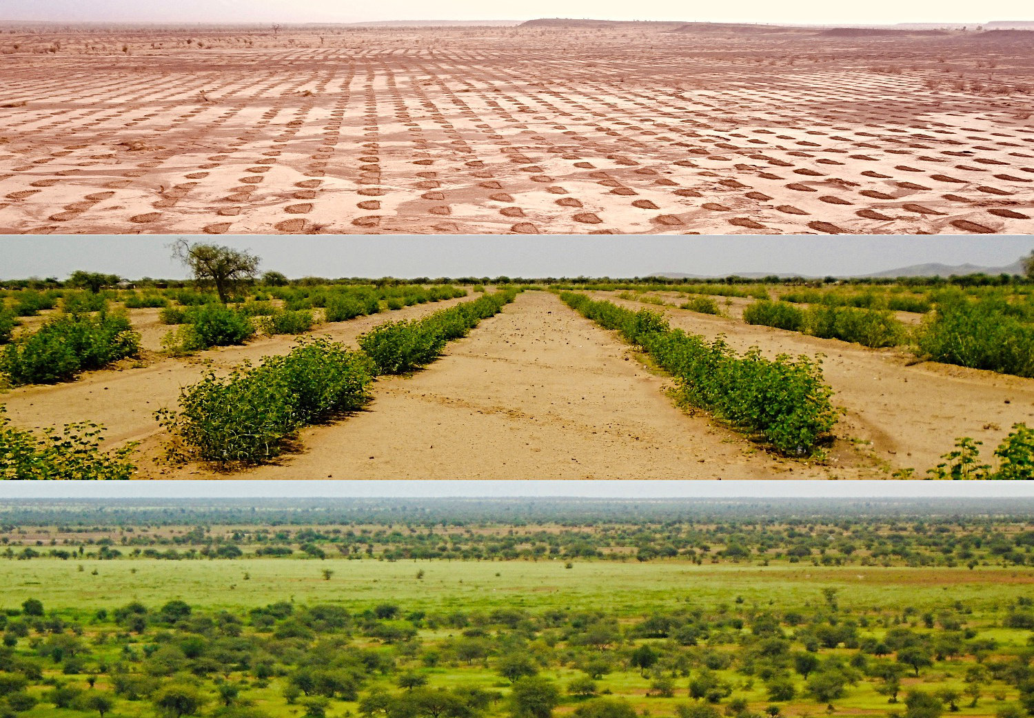 a0d313_1eb4c231a2334e9f8c6c770bf1ff8a56~mv2