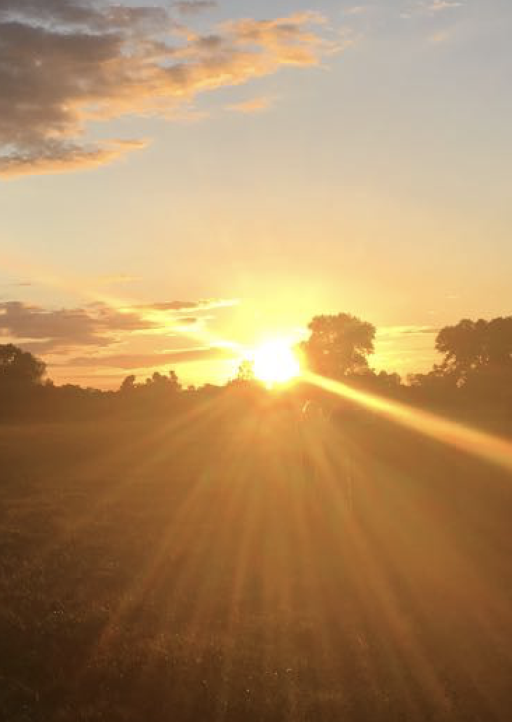 Morning routine –&nbsp;Morgenroutine