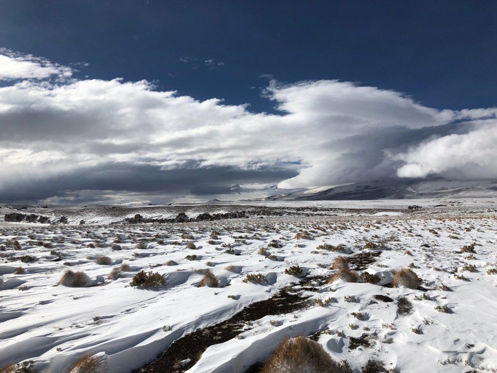 Seven steps to realize your dreams: Step 1. Be&nbsp;yourself