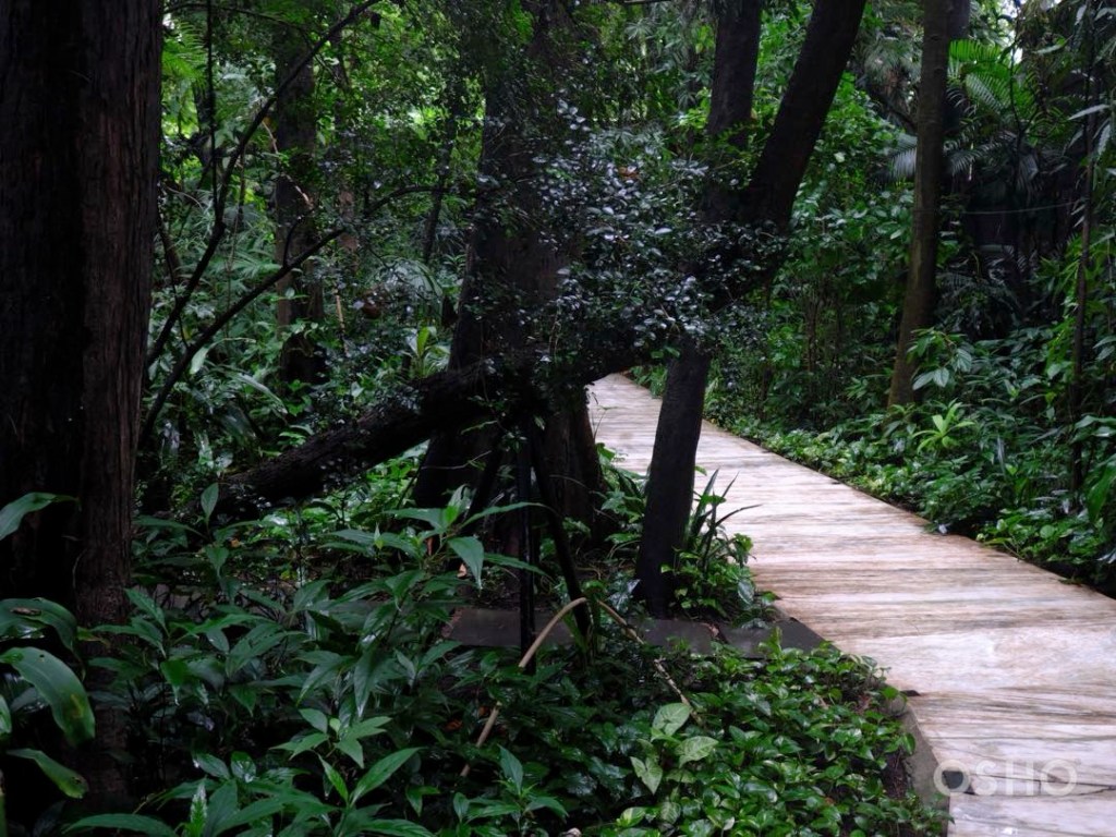 „Who is in“ Awareness Intensive&nbsp;Training.